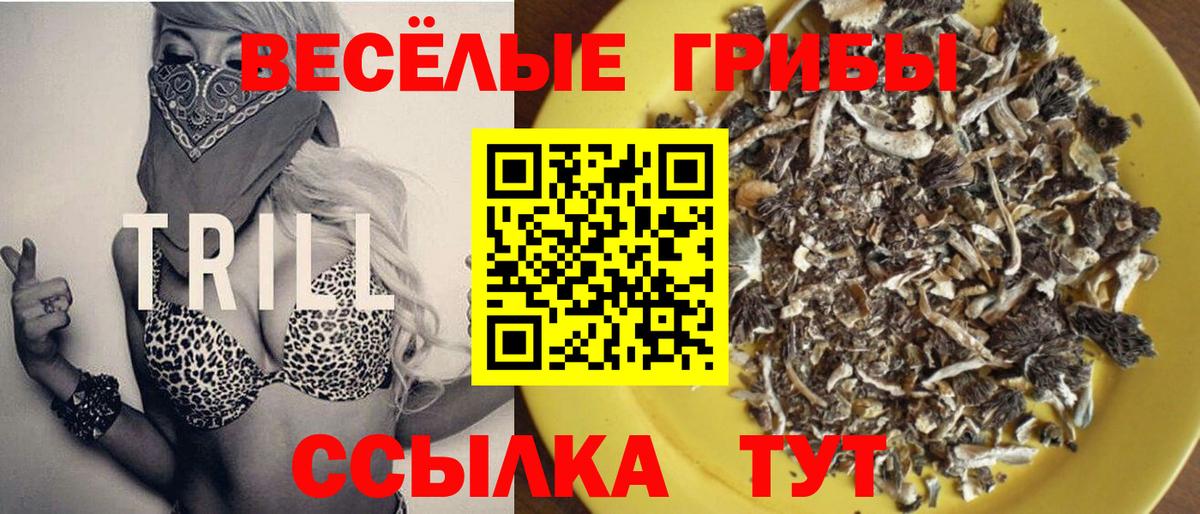 Псилоцибиновые грибы прущие грибы  Вход с VPN  цены   Галлюциногенные грибы Cubensis  Урай 